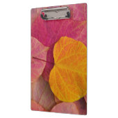 Herfst kleur op neergevallen bospijlstaaf klembord (Links)