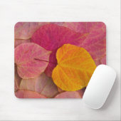 Herfst kleur op neergevallen bospijlstaaf muismat (Met muis)