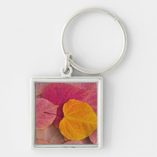 Herfst kleur op neergevallen bospijlstaaf sleutelhanger (Voorkant)