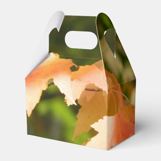 Herfst kleur Party Favor Box Bedankdoosjes (Voorkant Zijde)