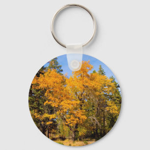 Herfst Kleur Sleutelhanger 1