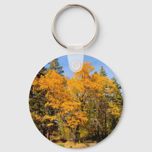 Herfst Kleur Sleutelhanger 1 (Voorkant)