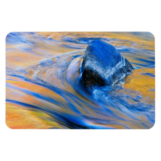 Herfst Kleur Water Abstract Magneet (Horizontaal)