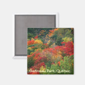 Herfst kleuren in Gatineau Park Magneet (Voorkant / Achterkant)