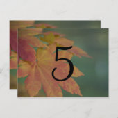 Herfst Kleuren Trouwtafel Nummer Briefkaart (Voorkant / Achterkant)