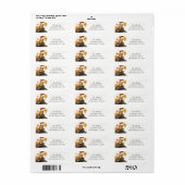 Herfst Kleuren Waterverf Kikker Retouradres Etiket (Full Sheet)