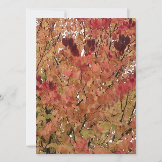 herfst kleurrijke bladeren blanco uitnodiging (Achterkant)