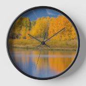 Herfst Kleurrijke Espenbomen (Voorkant)