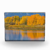 Herfst Kleurrijke Espenbomen Fotoblokken (Voorkant)