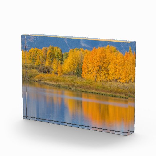 Herfst Kleurrijke Espenbomen Fotoblokken (Rechts)