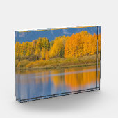 Herfst Kleurrijke Espenbomen Fotoblokken (Links)