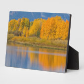 Herfst Kleurrijke Espenbomen Fotoplaat (Zijkant)