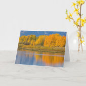 Herfst Kleurrijke Espenbomen Kaart (Gele Bloem)