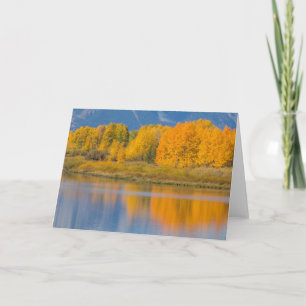 Herfst Kleurrijke Espenbomen Kaart