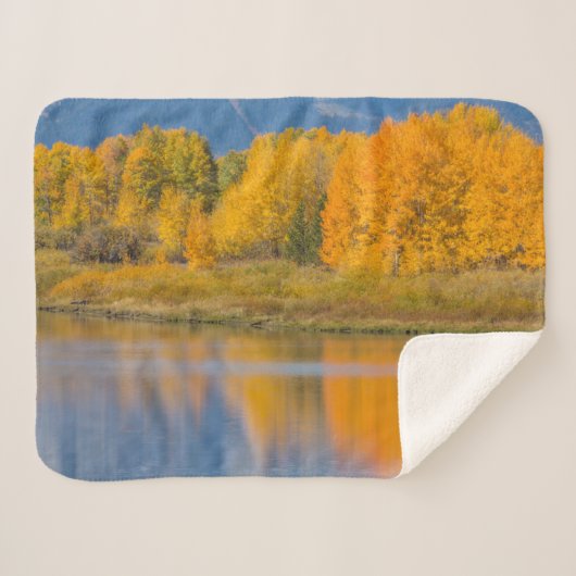 Herfst Kleurrijke Espenbomen Sherpa Deken (Voorkant (horizontaal))