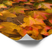 Herfst Klimop Bedekt Gebouw Poster (Hoek)