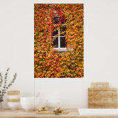 Herfst Klimop Bedekt Gebouw Poster (Keuken)