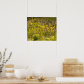 Herfst komt eraan // Kleurrijk bos Poster (Keuken)