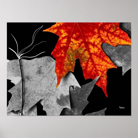 Herfst Kunst Poster (Voorkant)