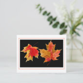 herfst laat briefkaarten achter (Staand voorkant)