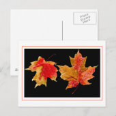 herfst laat briefkaarten achter (Voorkant / Achterkant)
