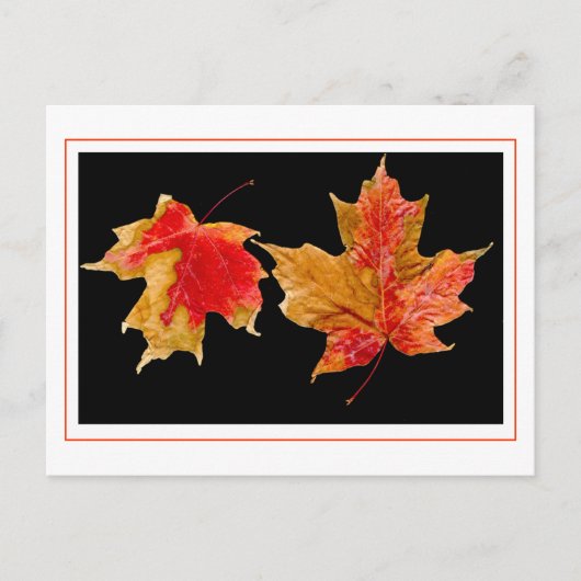 herfst laat briefkaarten achter (Voorkant)