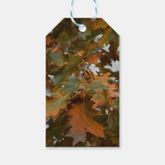 Herfst laat cadeau labels cadeaulabel