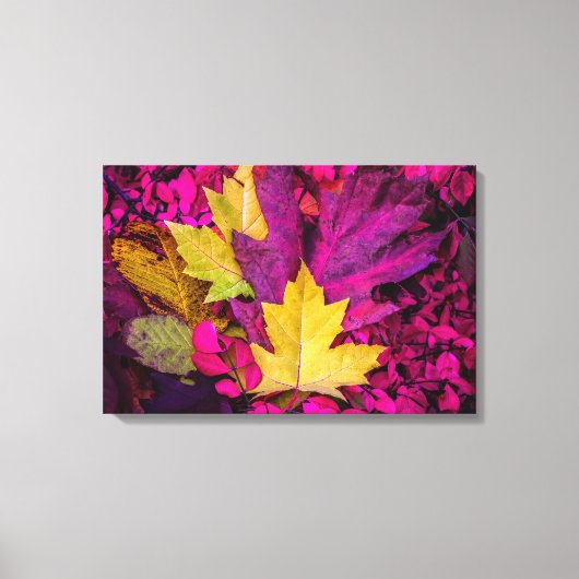Herfst laat collage door Thomas Minutolo Canvas Afdruk (Voorkant)