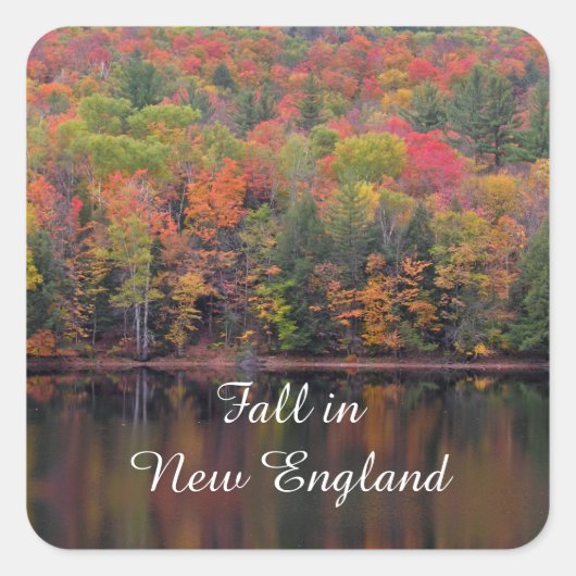 Herfst laat Herfst kleur scène Stickers (Voorkant)