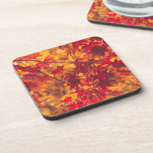 Herfst laat rode Herfst kleur Bier Onderzetter (Linkerzijde)