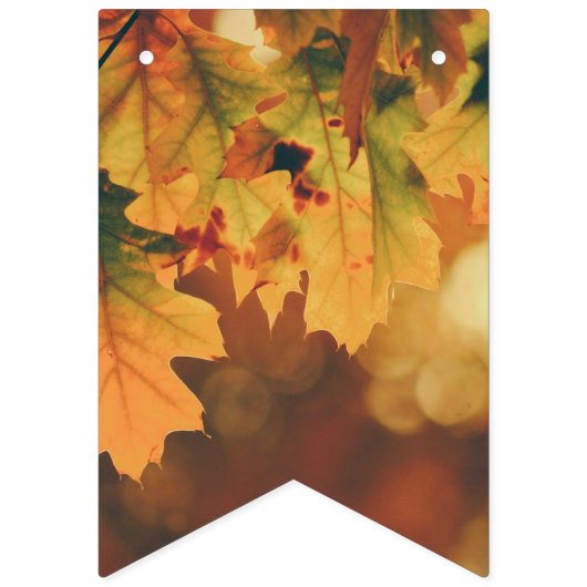 Herfst laat rustieke partij Bunting vlaggen Vlaggetjes (Tweede vlag)