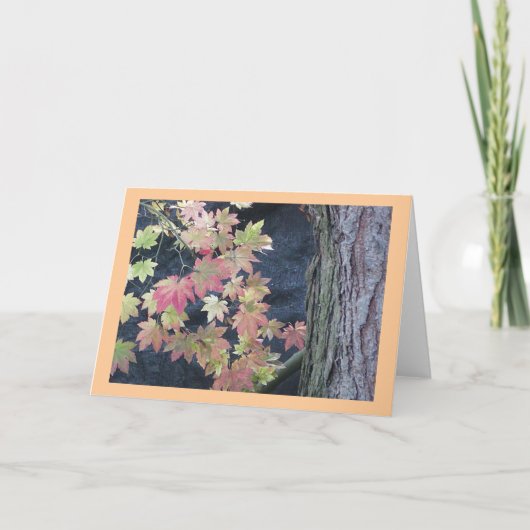 Herfst laat Wenskaarten achter Kaart (Voorkant)