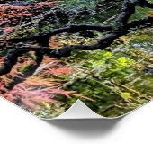 Herfst Laceleaf Japanse Esdoorn Botanisch Perfect Poster (Hoek)