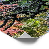 Herfst Laceleaf Japanse Esdoorn Botanisch Poster (Hoek)