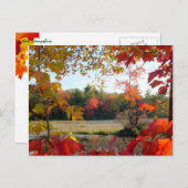 Herfst Lake ingelijst Briefkaart (Voorkant / Achterkant)