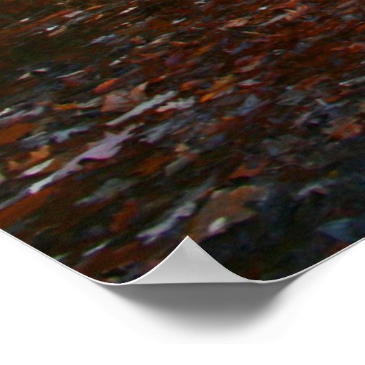 Herfst Lake Poster (Hoek)