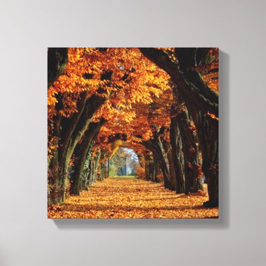 Herfst Land Road Canvas Afdruk (Voorkant)