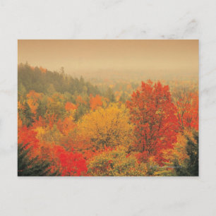 Herfst landscape, New Hampshire, Verenigde Staten Briefkaart