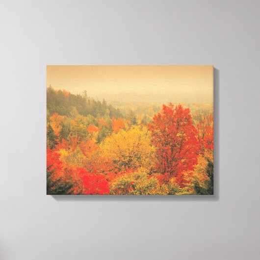 Herfst landscape, New Hampshire, Verenigde Staten Canvas Afdruk (Voorkant)