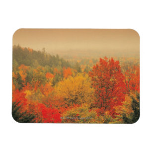 Herfst landscape, New Hampshire, Verenigde Staten Magneet