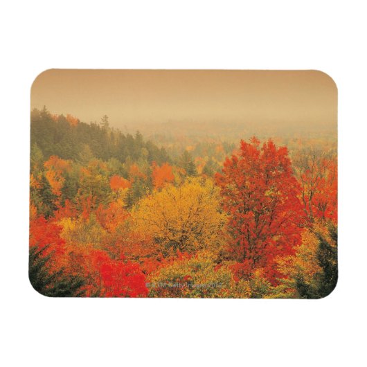 Herfst landscape, New Hampshire, Verenigde Staten Magneet (Horizontaal)