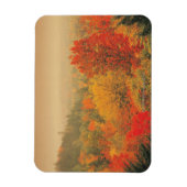 Herfst landscape, New Hampshire, Verenigde Staten Magneet (Verticaal)