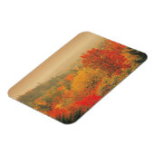 Herfst landscape, New Hampshire, Verenigde Staten Magneet (Linkerzijde)