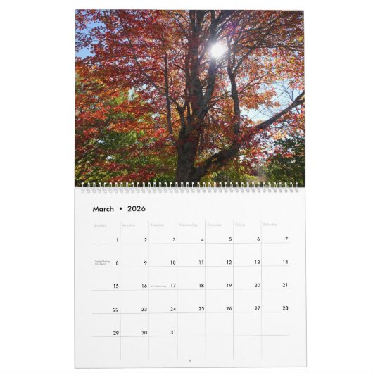 Herfst Landschap Fotografie (groot) Kalender (Mar 2026)