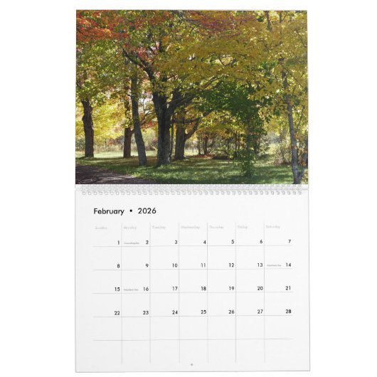 Herfst Landschap Fotografie (groot) Kalender (Feb 2026)
