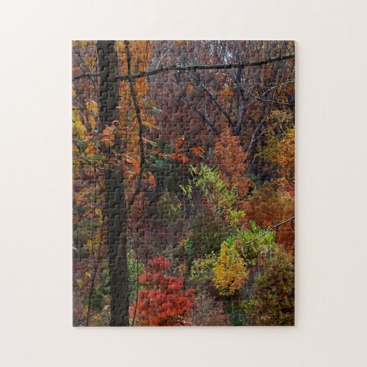 Herfst landschap in Arkansas Jigzaag Puzzel Legpuzzel (Verticaal)