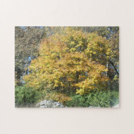 Herfst landschap legpuzzel