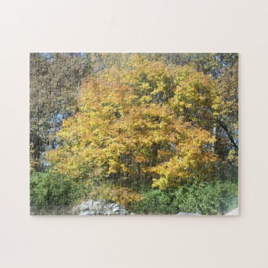 Herfst landschap legpuzzel (Horizontaal)