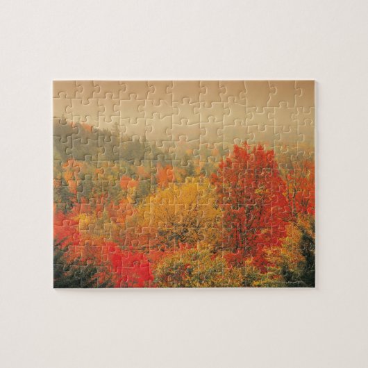 Herfst landschap, New Hampshire, VS Legpuzzel (Horizontaal)