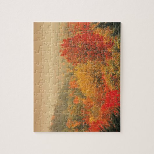 Herfst landschap, New Hampshire, VS Legpuzzel (Verticaal)